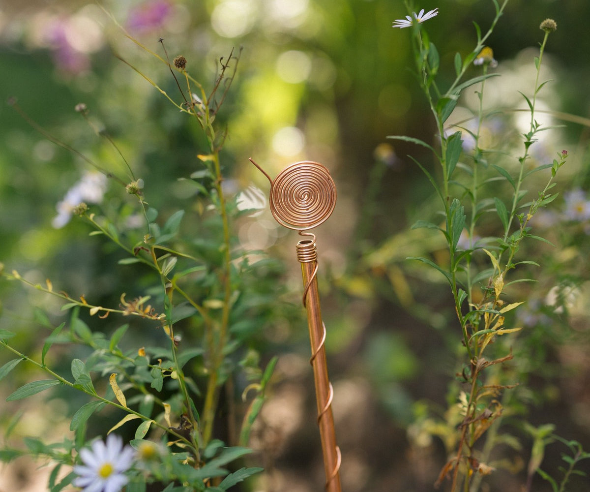 Electroculture in the Netherlands: from Andijk 1909 to your own vegetable garden
