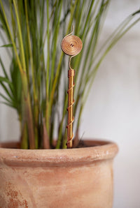 Kopero Electroculture 30 cm copper antenna in a terracotta pot with ornamental grass