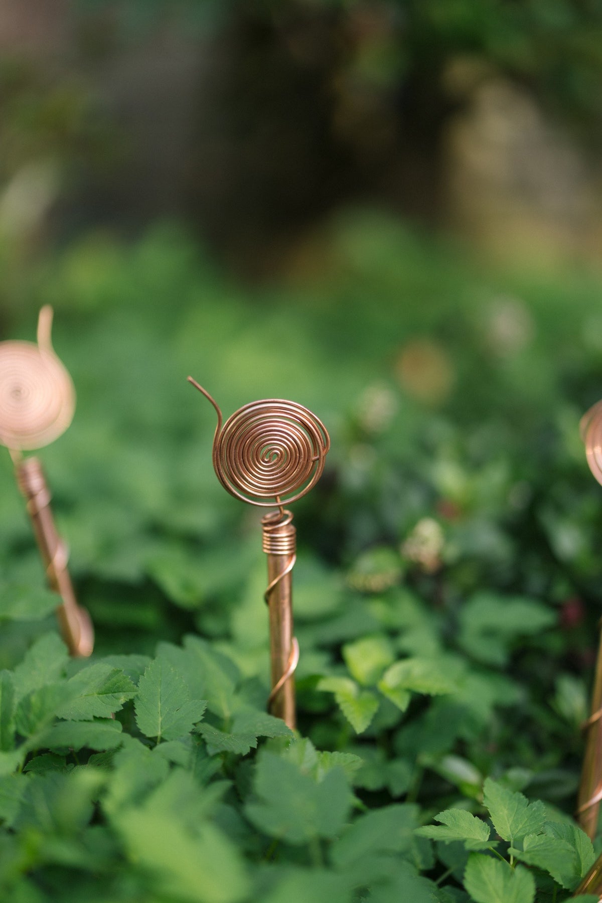 Kopero Electroculture 30 cm, one antenna in a flower bed among green plants