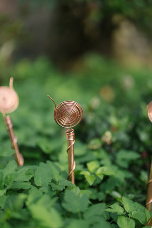 Kopero Electroculture 30 cm, one antenna in a flower bed among green plants