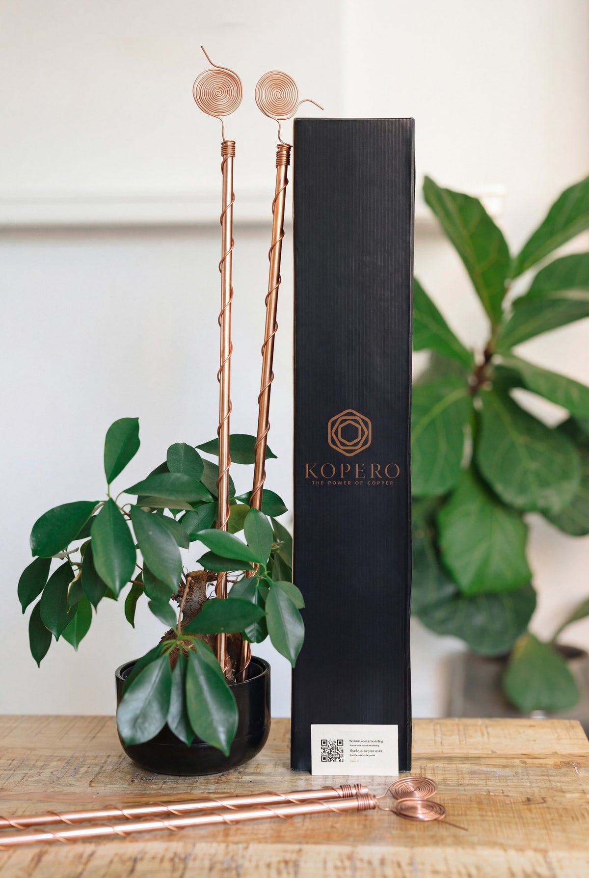 Kopero Electroculture 60 cm, with the black branded box and a houseplant