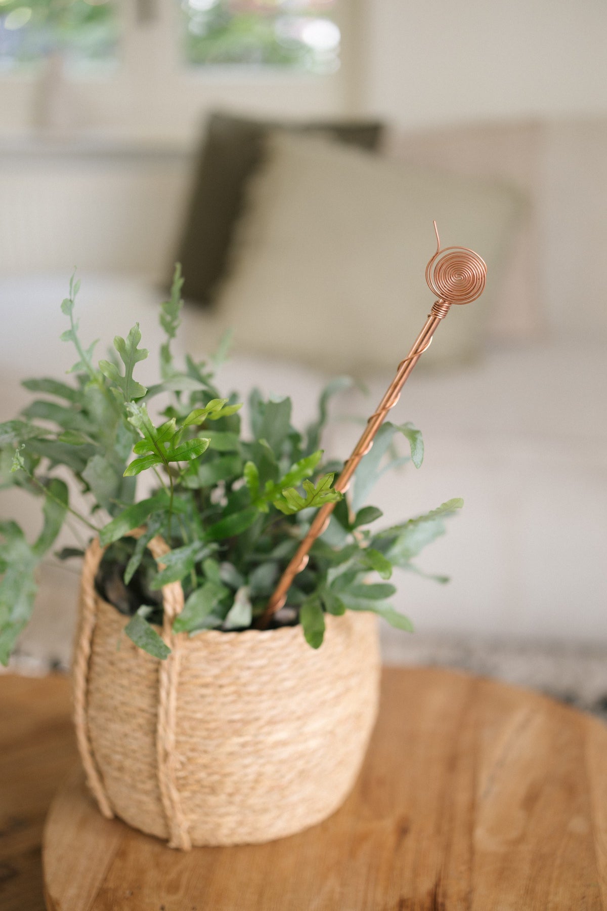 Kopero Electroculture 60 cm, in a wicker basket with a houseplant