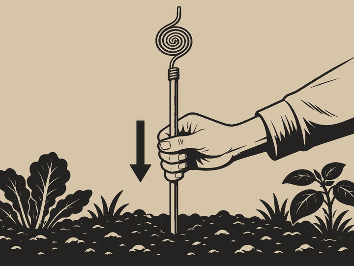 Push it upright into the soil